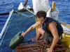 2 galen retrieves water.jpg (71059 bytes)
